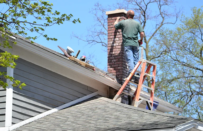 Chimney & Fireplace Inspections Services in Pleasant Prairie, WI